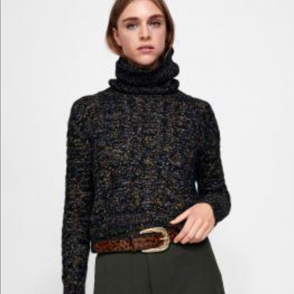 Zara Crop Knit Turtle Neck Sweater - Picture 5 of 5